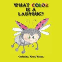 What Color Is a Ladybug?
