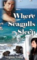 Where Seagulls Sleep