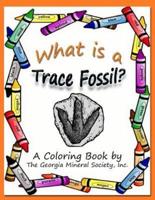 What Is a Trace Fossil?