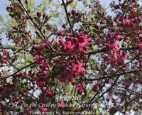 Spring in the Creasey Mahan Nature Preserve