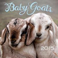 Baby Goats 2015