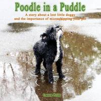 POODLE IN A PUDDLE