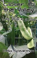 Closer to the Valley: Like Peas in a Pod