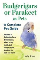 Budgerigars or Parakeet as Pets
