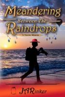 Meandering Between The Raindrops: A Travel Memoir