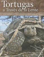 Tortugas a Traves De La Lente