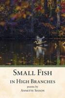 Small Fish in High Branches