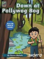 Down at Pollywog Bog