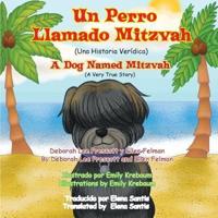 Un Perro Llamado Mitzvah: A Dog named Mitzvah