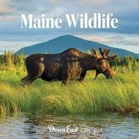 2025 Maine Wildlife Wall Calendar