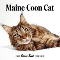 2025 Maine Coon Cat Wall Calendar