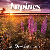 2017 Maine Lupine Down East Wall Calendar