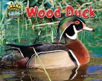 Wood Duck