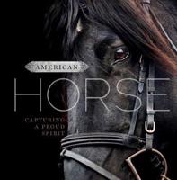 American Horse