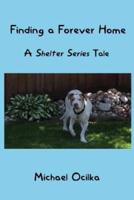 Finding A Forever Home: A Shelter Series Tale