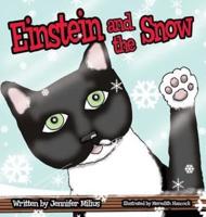 Einstein and the Snow