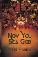 Now You Sea God: A Josh Katzen Collection