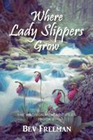 Where Lady Slippers Grow: The Madison McKenzie Files (Book 2)