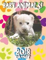 Baby Animals! 2018 Calendar (UK Edition)