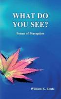 What Do You See?: Poems of Perception