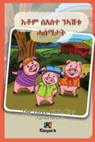 Seleste N'ashtu Hase'matat - Tigrinya Children's Book