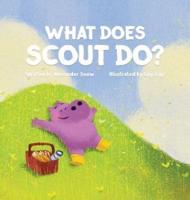 What Does Scout Do?