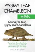 Pygmy Leaf Chameleons as Pets