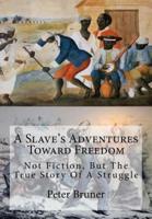 A Slave's Adventures Toward Freedom