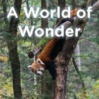 A World of Wonder