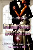 Partially Broken Never Destroyed 6