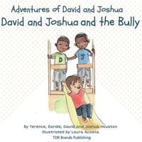 David and Joshua and the Bully