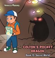 Colton's Pocket Dragon