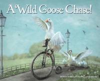 A Wild Goose Chase!