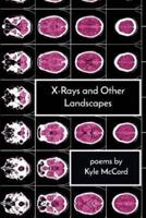 X-Rays and Other Landscapes