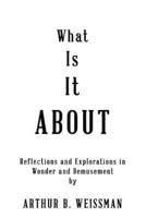 What Is It About: Reflections and Explorations in Wonder and Bemusement