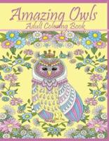 Amazing Owls: Adult Coloring Book Designs