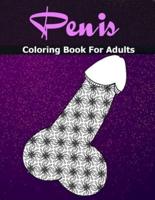 Penis Coloring Books For Adults: Cock Coloring Book For Adults Containing 110 Pages of Stress Relieving Witty and Naughty Dick Coloring Pages In a Paisley, Henna, Mandala, Floral Design (Adult Coloring Boosks)