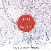 Maps of Injury