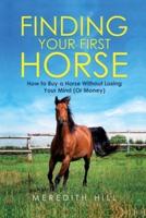 Finding Your First Horse: How to Buy a Horse without Losing Your Mind (or Money)