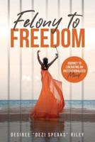 Felony to Freedom: Journey to Liberating an Institutionalized Mind