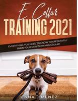 E Collar Training2021: Everything You Need to Know to Effectively Train Your Dog with an E Collar