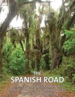 The Spanish Road: Travels Along Florida's Royal Road, El Camino Real