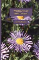 Wildflowers of Hells Canyon