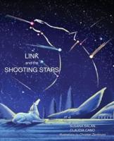 Link and the Shooting Stars