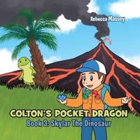 COLTON'S POCKET DRAGON Book 3