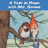 A Year at Home with Mr. Gnome