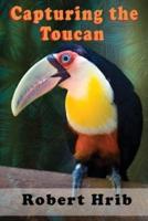 Capturing Toucan