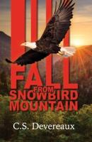 Fall from Snowbird Mountain