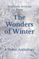 The Wonders of Winter