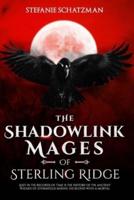 The Shadowlink Mages of Sterling Ridge
